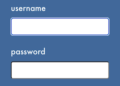 'username' input with an outline around the input box"